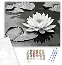 Számfestő Fehér Lótusz Nyugodt Víz Felszínén - számfestő készlet - 40×50 cm (Keretre feszítve) (crea6562-40X50-KF)