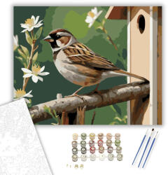 Számfestő Veréb a Madárodúnál - számfestő készlet - 40×50 cm (Keretre feszítve) (crea5967-40X50-KF)