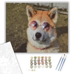  Napfürdöző kutya - számfestő készlet - 40×50 cm (Keretre feszítve)