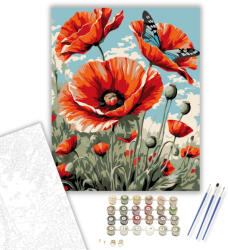  Pipacsok és Pillangó - számfestő készlet - 40×50 cm (Keretre feszítve)