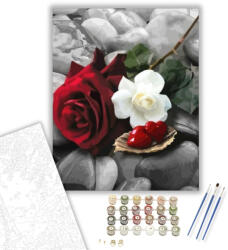 Számfestő Kedveskedés - számfestő készlet - 40×50 cm (Keretre feszítve) (crea1352-40X50-KF)