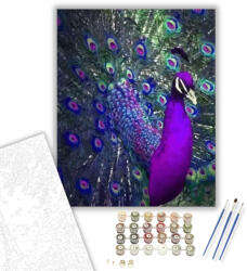  Páva szépség - számfestő készlet - 40×50 cm (Keretre feszítve)