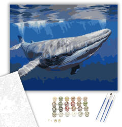 Számfestő Óceán Alatt Úszó Bálna - számfestő készlet - 40×50 cm (Keretre feszítve) (crea6180-40X50-KF)
