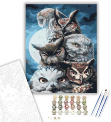Számfestő Bagoly banda - számfestő készlet - 40×50 cm (Keretre feszítve) (crea243-40X50-KF)