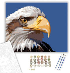 Számfestő Fehérfejű Rétisas Közelről - számfestő készlet - 40×50 cm (Keretre feszítve) (crea5973-40X50-KF)