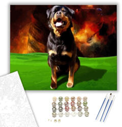 Számfestő Rottweiler - számfestő készlet - 80×100 cm (Keretre feszítve) (crea206-80X100-KF)