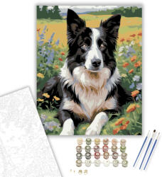 Számfestő Border Collie Vadvirágos Mezőn - számfestő készlet - 40×50 cm (Keretre feszítve) (crea5874-40X50-KF)