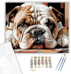  Bulldog Kölyök Pihenő Közeli Portré - számfestő készlet - 40×50 cm (Keretre feszítve)