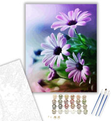 Számfestő Gyönyörű lila kamilla - számfestő készlet - 40×50 cm (Keretre feszítve) (crea1541-40X50-KF)