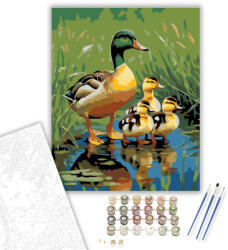  Kacsa Család a Tavon - számfestő készlet - 40×50 cm (Keretre feszítve)