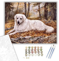  Őszi pihenő - számfestő készlet - 40×50 cm (Keretre feszítve)