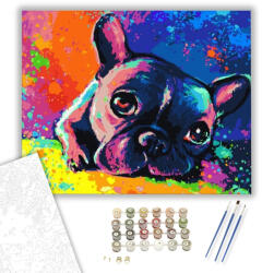  Színes bulldog - számfestő készlet - 40×50 cm (Keretre feszítve)