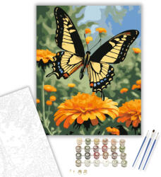 Számfestő Fecskefarkú Lepke Bársonyvirágon - számfestő készlet - 40×50 cm (Keretre feszítve) (crea6007-40X50-KF)
