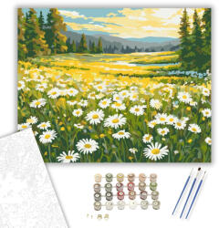  Aranyló Margaréta Mező - számfestő készlet - 40×50 cm (Keretre feszítve)