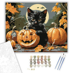  Cuki cica és Halloween tök - számfestő készlet - 40×50 cm (Keretre feszítve)