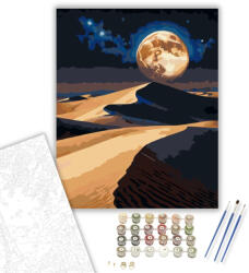  Holdfény és Galaxis a Sivatag Felett - számfestő készlet - 40×50 cm (Keretre feszítve)