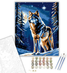 Számfestő Holdfényes Farkas - számfestő készlet - 40×50 cm (Keretre feszítve) (crea5142-40X50-KF)