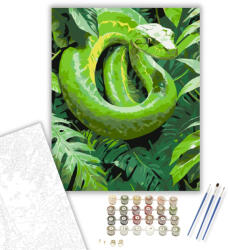 Számfestő Zöld Mamba a Dzsungel Indáin - számfestő készlet - 40×50 cm (Keretre feszítve) (crea6199-40X50-KF)