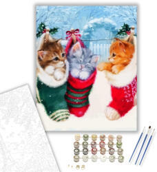 Számfestő Cica ajándékok - számfestő készlet - 40×50 cm (Keretre feszítve) (crea215-40X50-KF)