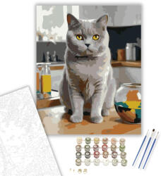  British Shorthair Macska a Konyhapulton - számfestő készlet - 40×50 cm (Keretre feszítve)