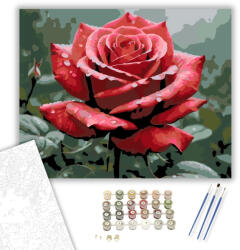  Esőáztatta Vörös Rózsa - számfestő készlet - 40×50 cm (Keretre feszítve)