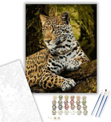  Leopárd tekintet - számfestő készlet - 40×50 cm (Keretre feszítve)