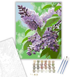  Harmatcseppes Lila Orgona - számfestő készlet - 40×50 cm (Keretre feszítve)