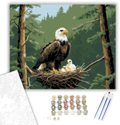 Számfestő Sasfészek a Magasban - számfestő készlet - 40×50 cm (Keretre feszítve) (crea6147-40X50-KF)