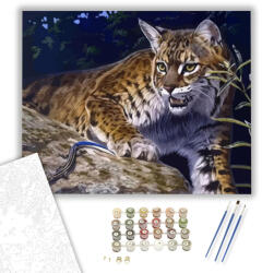  Hiúz - számfestő készlet - 40×50 cm (Keretre feszítve)