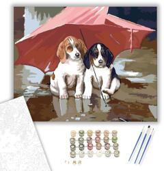  Kutyus menedék - számfestő készlet - 40×50 cm (Keretre feszítve)