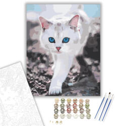  Fehér cica - számfestő készlet - 40×50 cm (Keretre feszítve)