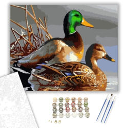 Számfestő Kacsák - számfestő készlet - 40×50 cm (Keretre feszítve) (crea110-40X50-KF)