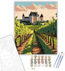  Loire-völgyi Szőlőskert Kastéllyal - számfestő készlet - 40×50 cm (Keretre feszítve)