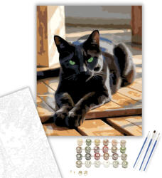  Lustán Nyújtózkodó Fekete Macska - számfestő készlet - 40×50 cm (Keretre feszítve)