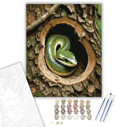 Számfestő Fiatal Kígyó a Fában - számfestő készlet - 40×50 cm (Keretre feszítve) (crea6195-40X50-KF)