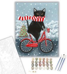 Számfestő Bicikliző Macska - számfestő készlet - 40×50 cm (Keretre feszítve) (cats088-40X50-KF)