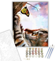 Számfestő Cica és pillangó - számfestő készlet - 40×50 cm (Keretre feszítve) (crea031-40X50-KF)