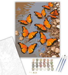  Narancssárga Pillangók a Folyóparton - számfestő készlet - 40×50 cm (Keretre feszítve)