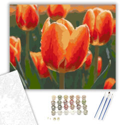  Harmatcseppes Narancs Tulipánok - számfestő készlet - 40×50 cm (Keretre feszítve)