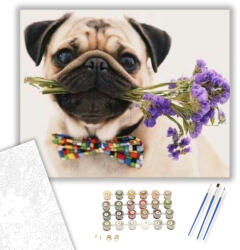 Számfestő Mopszli Kutya És Virágok - számfestő készlet - 40×50 cm (Keretre feszítve) (dogs046-40X50-KF)