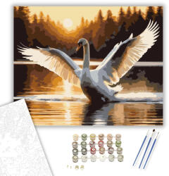  Kitárt Szárnyú Hattyú a Naplementében - számfestő készlet - 40×50 cm (Keretre feszítve)