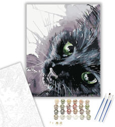  Fekete cica - számfestő készlet - 40×50 cm (Keretre feszítve)
