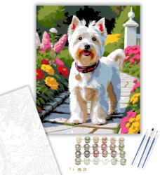 Számfestő West Highland White Terrier a Kerti Ösvényen - számfestő készlet - 40×50 cm (Keretre feszítve) (crea5851-40X50-KF)