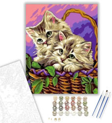  Kiscicák a kosárban - számfestő készlet - 40×50 cm (Keretre feszítve)