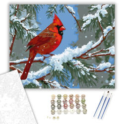  Vörös Kardinális a Havas Ágon - számfestő készlet - 40×50 cm (Keretre feszítve)