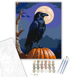 Számfestő Holló és tök a holdfényben - számfestő készlet - 40×50 cm (Keretre feszítve) (crea3079-40X50-KF)