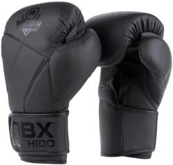 DBX Bushido Mănuși de box DBX Bushido Hammer - Black