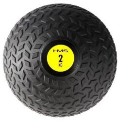 HMS Minge HMS PST Slam Ball 2 kg