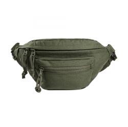 Tasmanian Tiger Borsetă de șold Tasmanian Tiger Modular Hip Bag - Olive