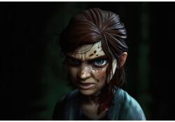  Plakát Ellie The Last Of Us 2. rész, 61x90 cm, poszter1682, többszínű (poster1682)
